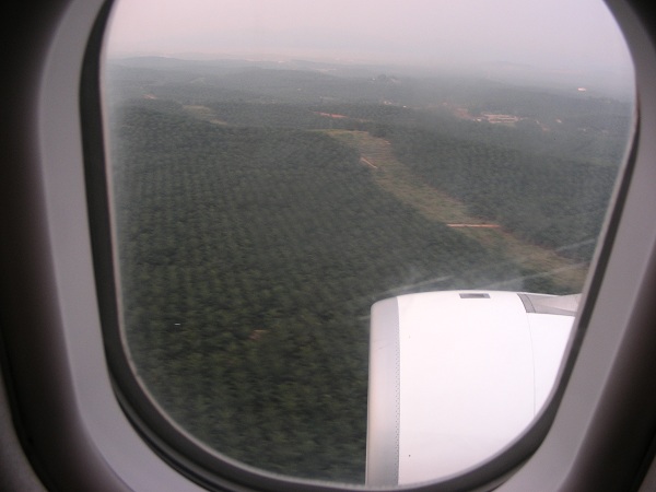 výhľad z lietadla v Malajzii